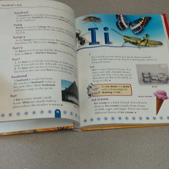 Dictionary - Picture 4 of 4